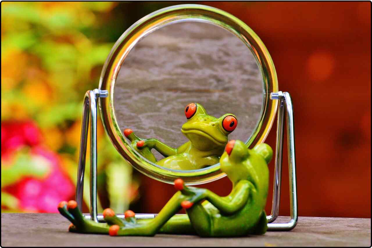 Frog looking into a mirror, seeing its own likeness.